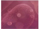 Endotoxins - LPS Endotoxicity Modulator