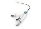 Angel - Inferior Vena Vava Filter and Central Venous Catheter System