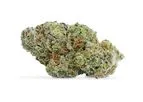 Cannabis - Model 101 - Medical and Psychedelic Properties
