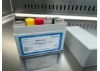 Acute Hepatopancreatic Necrosis Disease Detection Kits