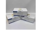 Poclight - Canine Thyroid-Stimulating Hormone (cTSH) Test Kit