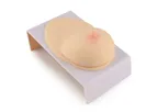 SimCoach - Model SIC040-W  - Lactating Breast Model for Education with Display Stand