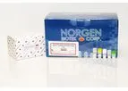 Model Cat. 63610, 63600, 63620 - Small RNA Library Prep Kit for Illumina