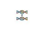 Bioinformatics Consultancy Services