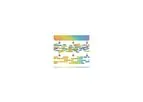 Genome Annotation Services