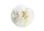 Mai Fu Tong - Hydatid Powder