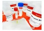 Geneaid - Blood/Cell RNA Mini Kit (RBD050, RBD100, RBD300)