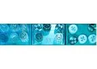 Sterigenics - Gamma Irradiation Technology