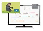 Observer - Version XT - Professional Animal Behavior Scoring and Analysis Software