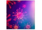 Clarigene - Model SARS-CoV-2 RUO - Acute Respiratory Syndrome Coronavirus 2