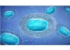 Eupraxia - Model EP-104IAR - EP-104IAR Osteoarthritis Pain Reliever