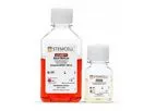 mTeSR - Model 1 - Feeder-Free Maintenance Medium for Human ES and iPS Cells