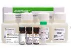 Aldefluor - Evaluation and Isolation Identification Kit