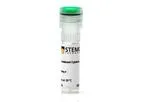 Stemcell - Model IL-2 (CHO-expressed) - Human Recombinant