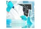 Custom Monoclonal Antibodies Services