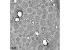 NanoX - Model TLC178 - Anticancer Drug Vinorelbine