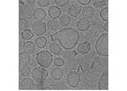 Ampholipad - Systemic Fungal Infections Drug