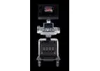 E-CUBE - Model 15 Platinum - Ultrasound System