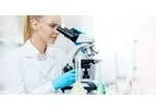 RepliGut - Human Stem Cell-Derived Platform