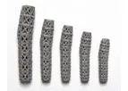 4WEB - Hammertoe Truss System