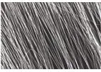 CIS Pharma - Bio-inspired Polymer