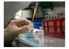 Research & Development Services