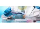 Research and Development Services