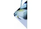 Assay Development and Technology Transfer to Expedite All Clinical Phases