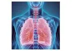 Histocell - Model HC016 - Acute Lung Injury Platform