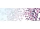 BioFX - Single Cell Sequencing Services