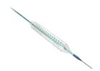 Lepu - Model NeoVas - Sirolimus-Eluting Bioresorbable Coronary Scaffold System