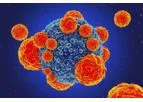 Immuno-Oncolytic Viruses