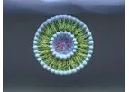 SEQENS - Custom Lipids