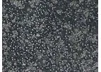 Allevi - Model A-HUCPI - Human Hepatocytes Cells