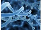 Orthocell CelGro - Collagen Medical Device Platform Technologies