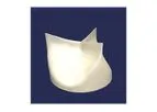 DurAVR - 3D Single-piece Aortic Heart Valve