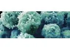Gel4Med - Antimicrobial Shield Technology