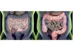 OptiBiotix - Human Microbiome Technology