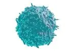 Celularity - Model CYNK-001 - Placental-derived Natural Killer (PNK) Cells