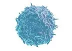 Celularity - Model CYNK-101 - Genetically-modified PNK Cells