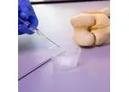 LDGraft - Model rhBMP-2 - Bone Graft