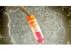 Aelan - Stem Cell Pharmacy Enabling Technology