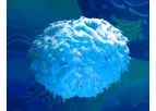 Transgene - Model BT-001 - Multifunctional Oncolytic Virus