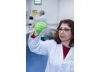 DHEAs Antibody