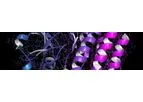 Nanocyclix - Medicinal Chemistry Technology