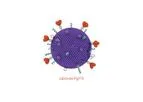 Lipovax - Model Fg115 - Adjuvanted Delivery Vehicle for Recombinant Antigens
