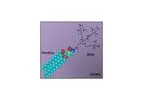 Lipokel - Self Adjuvanting Small Molecule