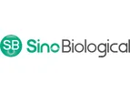 Sino - Mammalian Transient Protein Expression Service