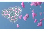 Galera - The Science of Superoxide Dismutase Mimetics