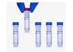 CD-BioGlyco - Model XGB670 - Lipopolysaccharides